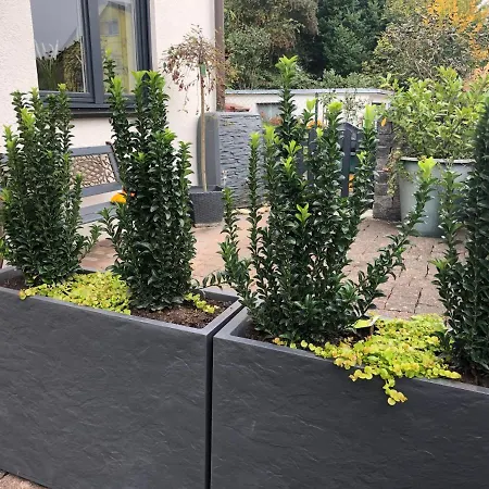 Schoene Nahe Heidelberg דירה באמנטל